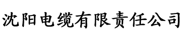 硬汉黄色软件电缆厂logo